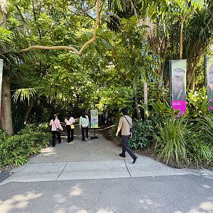 Entrance to Forest of Wonders
