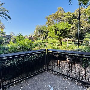 Gorilla enclosure