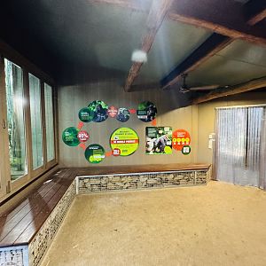 Gorilla Ranger Building