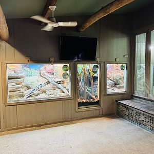 Gorilla Ranger building