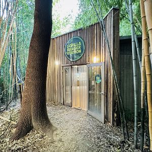 Gorilla Ranger building