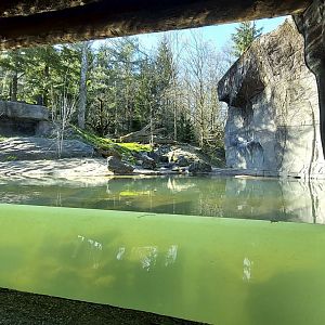 Panthera former tiger enclosure main viewing area