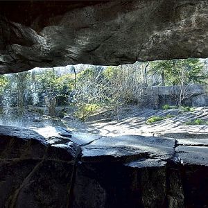 Panthera former tiger enclosure main viewing area