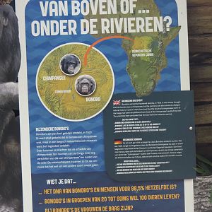 Bonobo signage, 2024-08-18