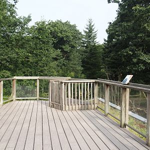 Viewing area on top of the bonobo building, 2024-08-18