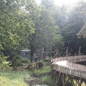 Visitor boardwalk and parts of smaller gorilla island and capuchin exhibit seen from the viewing area on the bonobo building, 2024-08-18