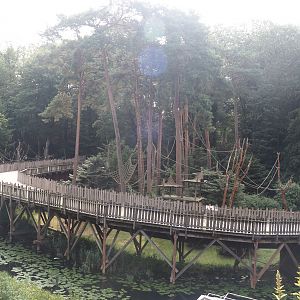 Capybara and Colombian black spider monkey exhibit and visitor boardwalk seen from the viewing area on the bonobo building, 2024-08-18