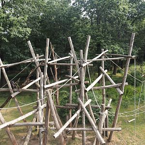 Bonobo island, 2024-08-18