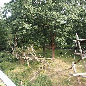 Bonobo island, 2024-08-18