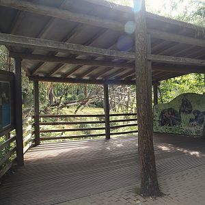Bonobo island viewing area, 2024-08-18
