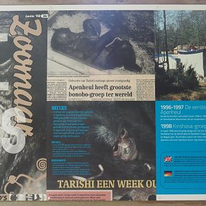 History of bonobos at Apenheul signage, 2024-08-18