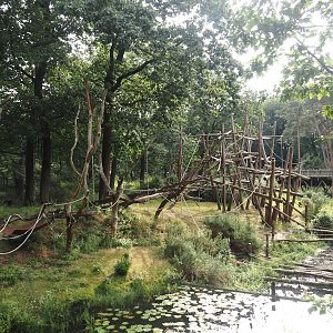 Bonobo island, 2024-08-18