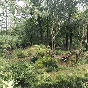 Bonobo island, 2024-08-18