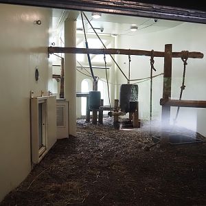 Bonobo indoor housing, 2024-08-18