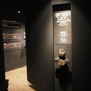 Exhibition about hominids in the bonobo building, 2024-08-18