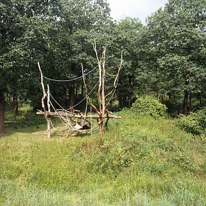 Bonobo island, 2024-08-18