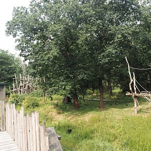 Bonobo island, 2024-08-18