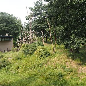 Bonobo island, 2024-08-18