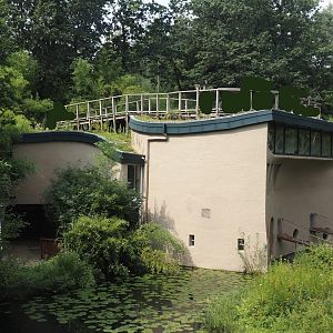 Bonobo building, 2024-08-18