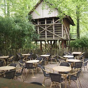 Eating area and part of the former petting zoo, 2024-08-18