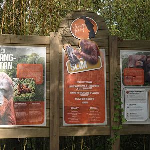 Bornean orangutan signage, 2024-08-18
