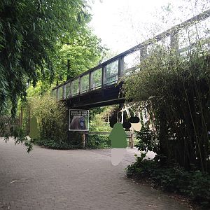 Bornean orangutan viewing areas, 2024-08-18