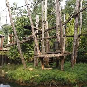 One of the Bornean orangutan islands, 2024-08-18