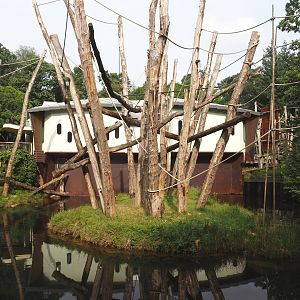 One of the Bornean orangutan islands and Bornean orangutan house, 2024-08-18