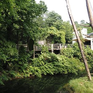 Walkway in the Bornean orangutan area, 2024-08-18
