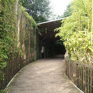 Walkway in the Bornean orangutan area, 2024-08-18