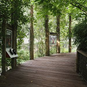 Walkway in the Bornean orangutan area, 2024-08-18