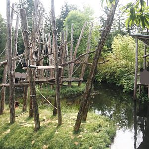 Bornean orangutan islands and viewing area, 2024-08-18