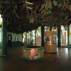 Visitor area in the Bornean orangutan house, 2024-08-18