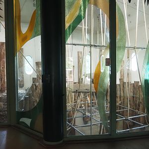 Bornean orangutan indoor exhibit, 2024-08-18