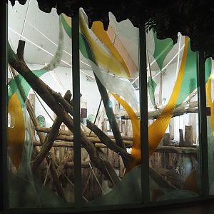 Bornean orangutan indoor exhibit, 2024-08-18