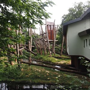 Bornean orangutan islands, 2024-08-18