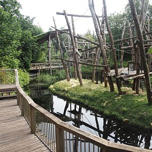 Bornean orangutan islands and viewing areas, 2024-08-18