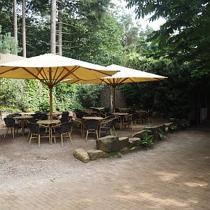 Eating area near the orangutan islands, 2024-08-18