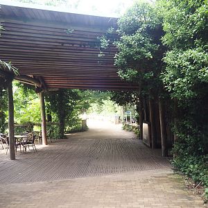 Walkway and shelter with food stand next to Bornean orangutan islands, 2024-08-18