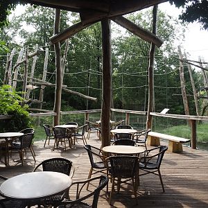 Eating and viewing area next to the Bornean orangutan islands, 2024-08-18