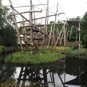 Bornean orangutan islands and viewing area, 2024-08-18