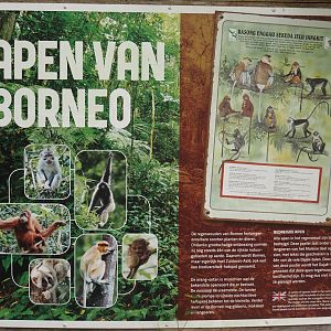 Primates of Borneo signage, 2024-08-18