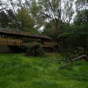 Cheetah enclosure 25.8.24