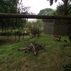 Climbing frames in ring-tailed and red-bellied lemur enclosure 25.8.24