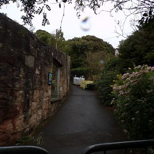 Work being done on former binturong enclosure 25.8.24