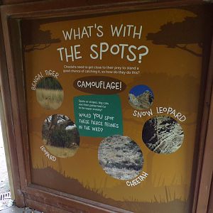 Signage covering old leopard gecko enclosure 25.8.24
