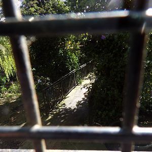 Old path through pelican aviary 16.9.24