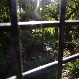 Pelican aviary 16.9.24