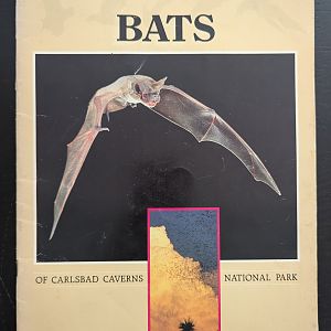 Bats of Carlsbad Caverns National Park