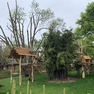 Binturong and Bharal enclosure with new climbing frames